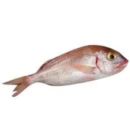 Mercan